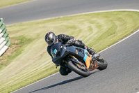 Middle Group Multicolour Bikes